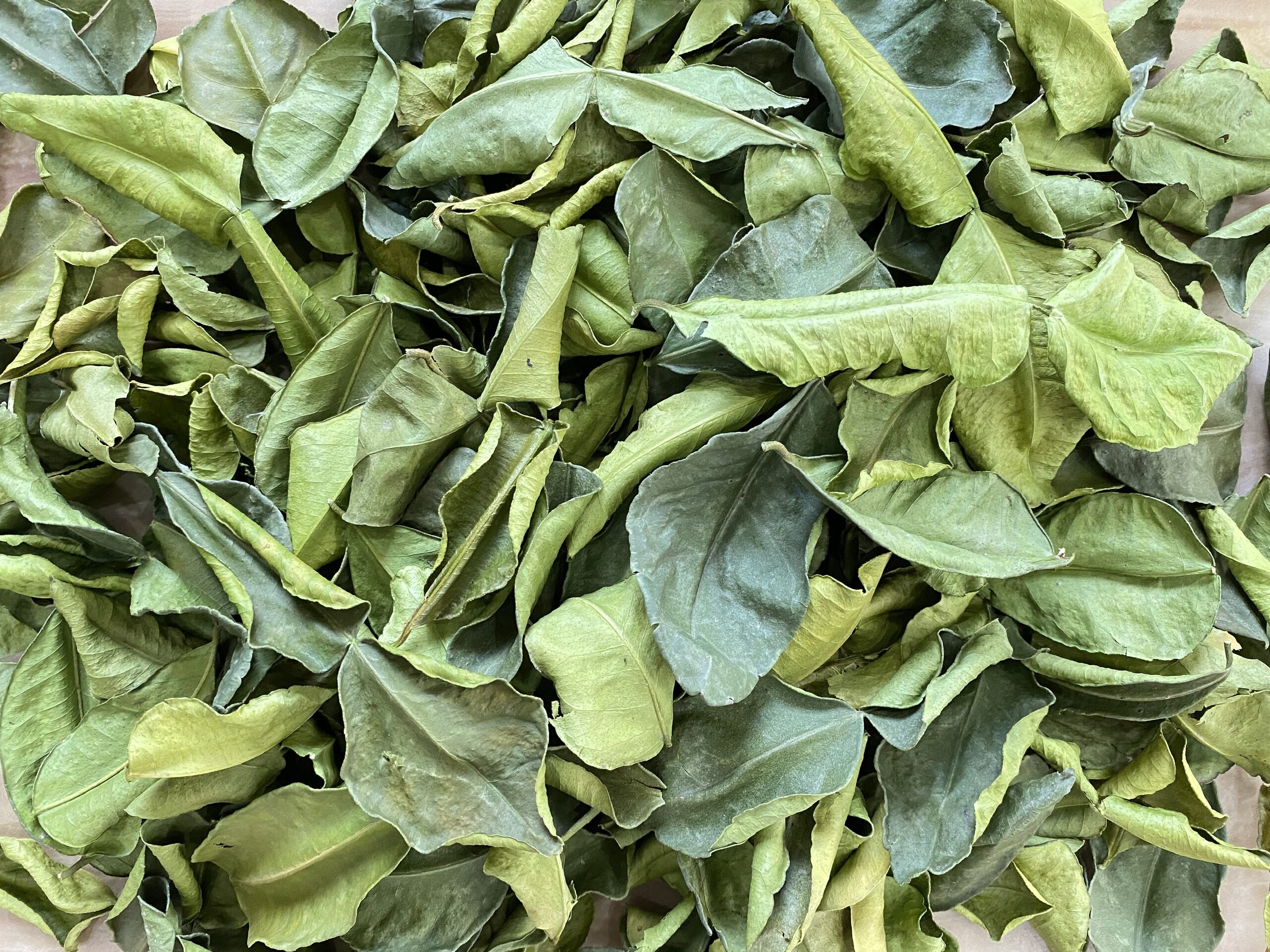 Lá chanh Thái Lan / Dried lemon leaves Thailand