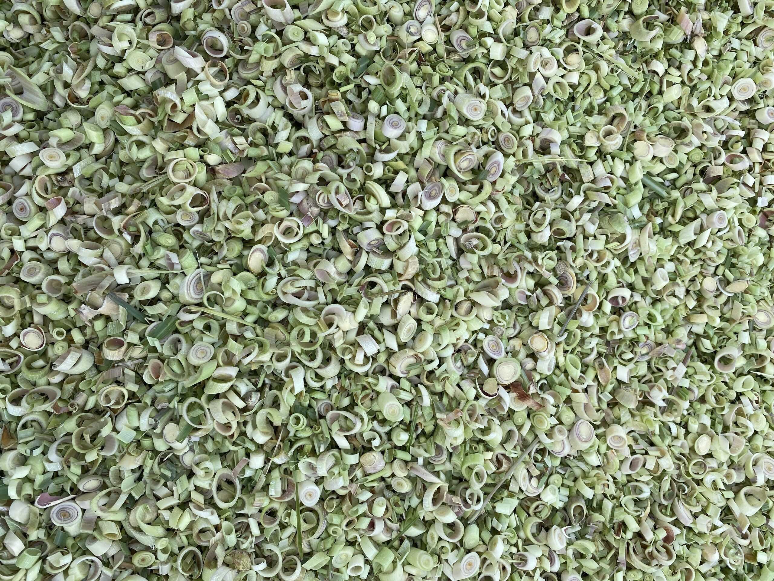 Sả sấy khô / Dried lemon grass